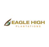 Eagle High